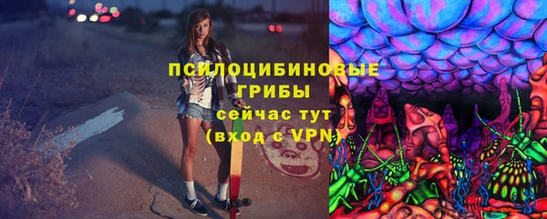 ГАЛЛЮЦИНОГЕННЫЕ ГРИБЫ Армянск