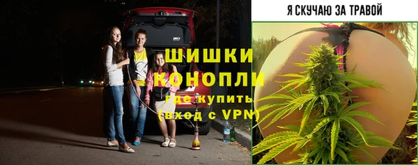 ГАЛЛЮЦИНОГЕННЫЕ ГРИБЫ Армянск