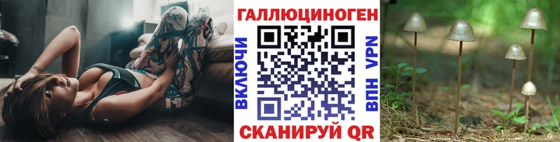 наркота  Котельниково  Галлюциногенные грибы Psilocybine cubensis 
